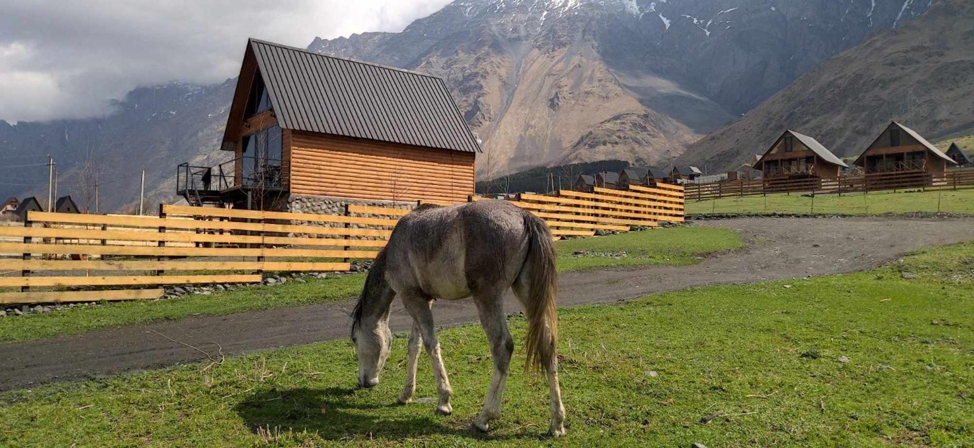 Traveler'S Cottages In Kazbegi エクステリア 写真