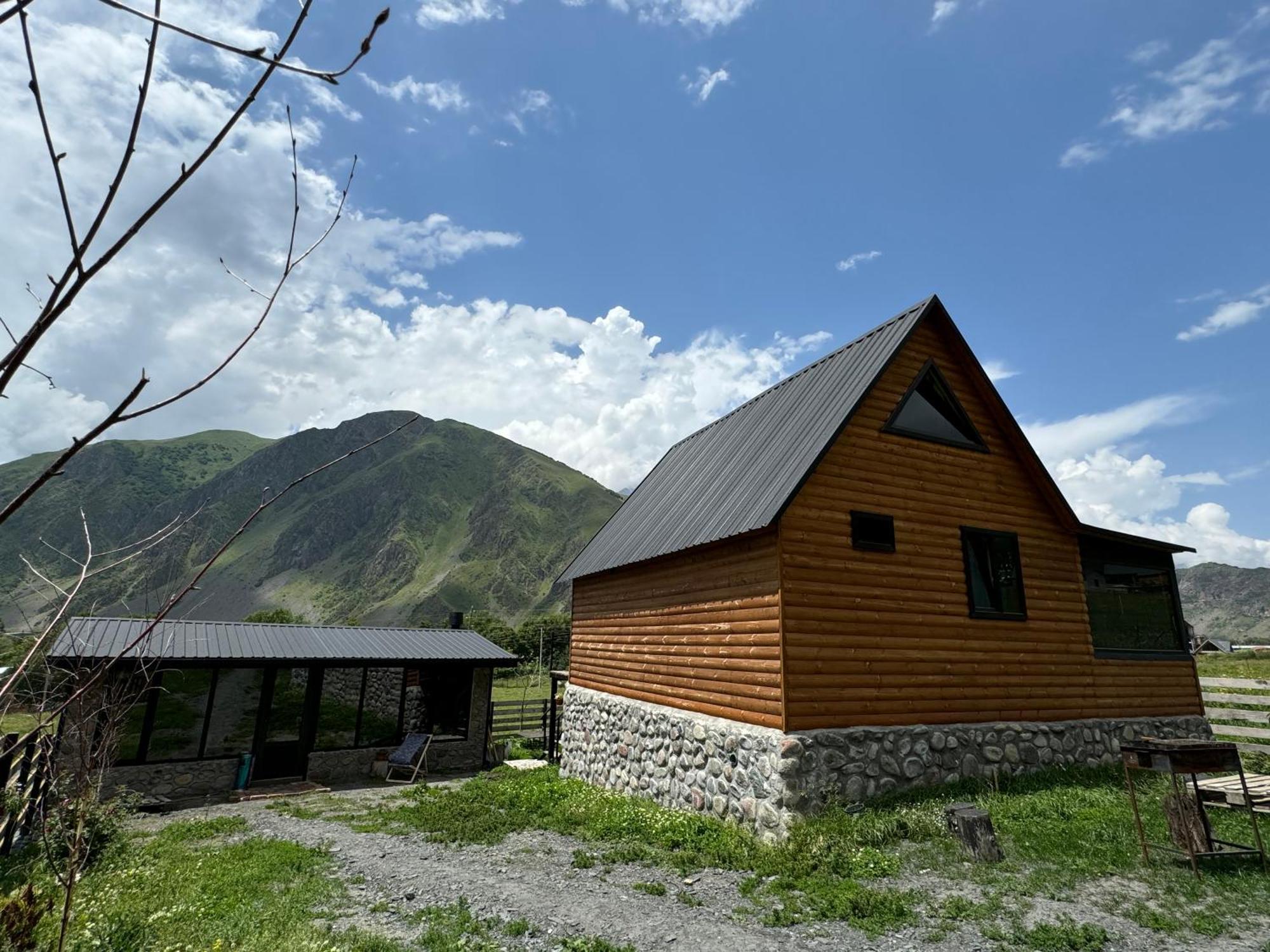 Traveler'S Cottages In Kazbegi エクステリア 写真